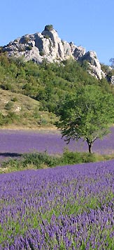 Tourist routes  Provence