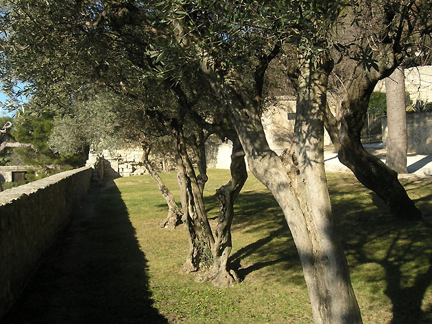 photo Beaucaire provence