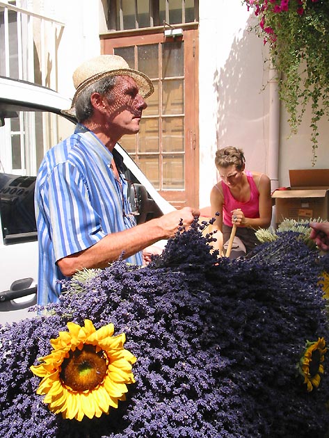 photo Marchs provenaux provence