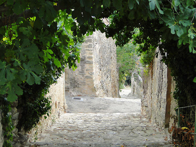 photo Lagarde Parol provence