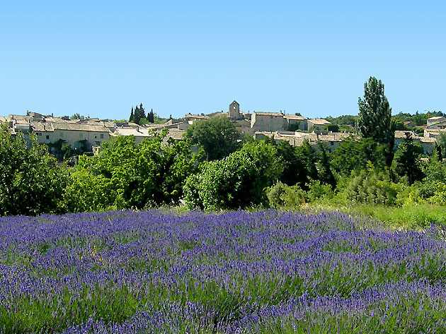 photo Salles-sous-Bois provence