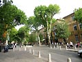 Avenue � Aix en Provence