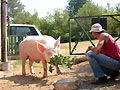 Cochon
