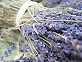 Bouquet de lavande