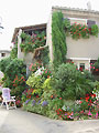 Maison fleurie � Mirabel aux Baronnies