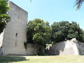 Ch�teau de Mont�limar