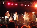 Contert de New York Salsa All Stars � Grillon