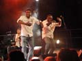 Festival  d