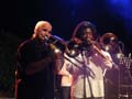 New York Salsa All Stars
