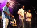 New York Salsa All Stars - Salsa