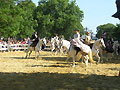 Feria de N�mes