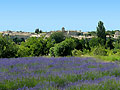 Village de Salles sous Bois