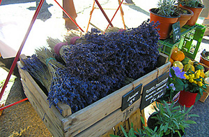 roussillon