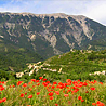 pays du mont ventoux