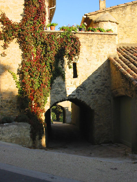 photo Faucon provence