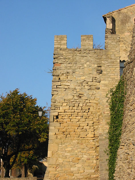 photo Faucon provence