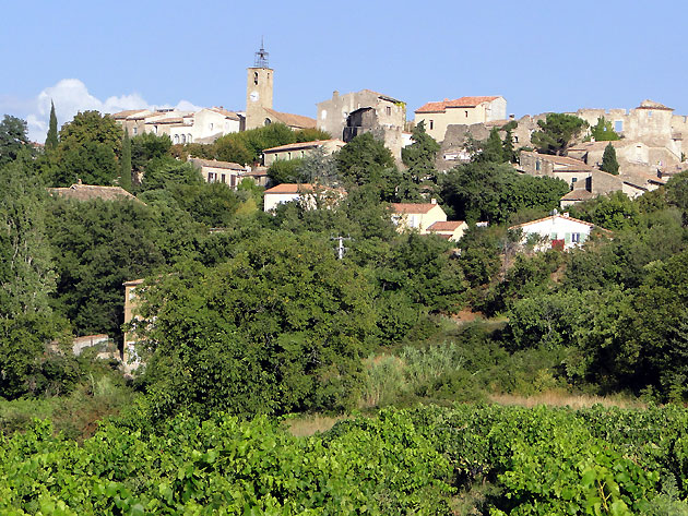 photo Faucon provence