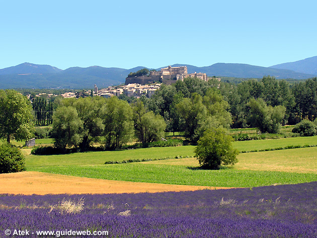 photo Lavande provence