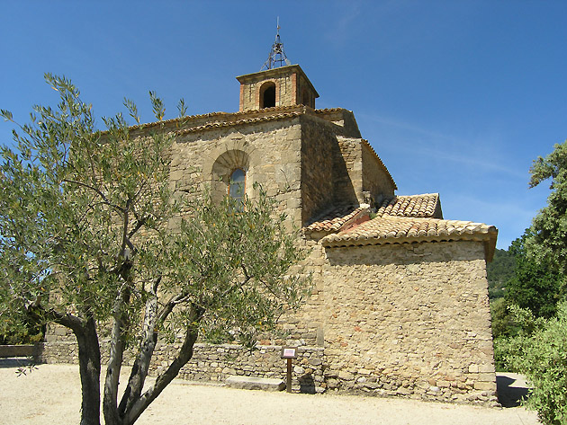 photo Mrindol les Oliviers provence