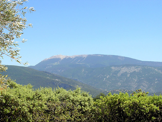 photo Mrindol les Oliviers provence