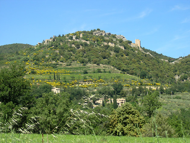 photo Mrindol les Oliviers provence