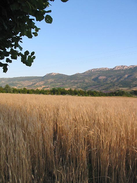 photo Produits provence