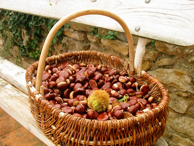 photo Produits provence
