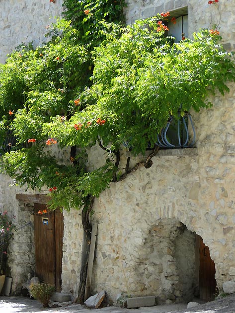 photo Villeperdrix provence